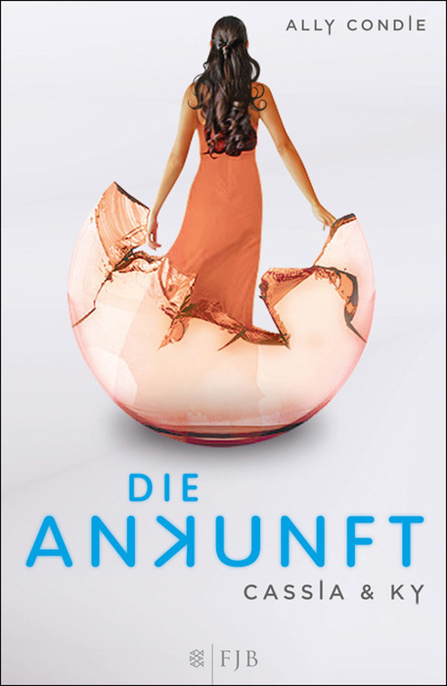 Die Ankunft